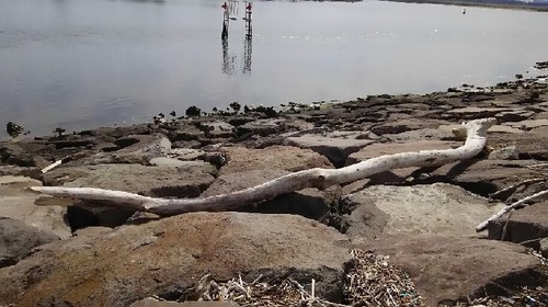 20180324_02a.jpg