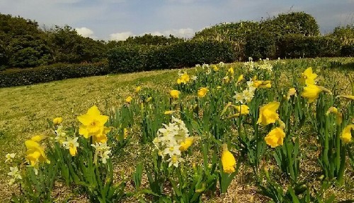 20180324_05a.jpg