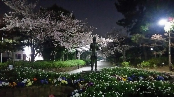 20180328_yozakura_05a.jpg