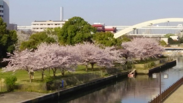 20180331_sakura_4-4a.jpg