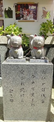 20180729_今戸神社_02a.jpg