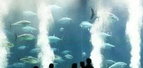 20180814_sea_life_park_01a.jpg