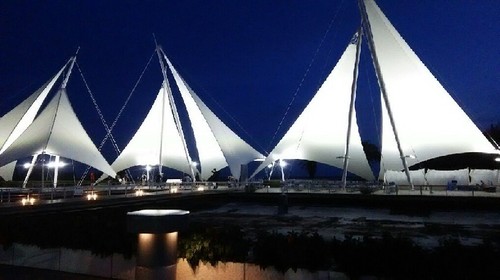 20180814_sea_life_park_13a.jpg