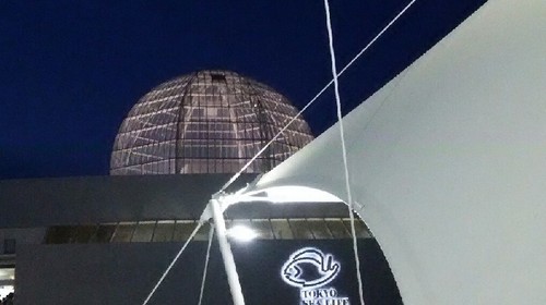 20180814_sea_life_park_14a.jpg
