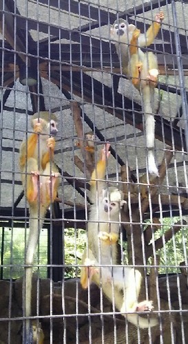 20180818_行船公園_01a.jpg