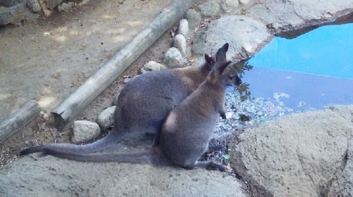 20180818_行船公園_05a.jpg