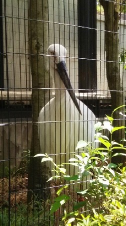 20180818_行船公園_06a.jpg