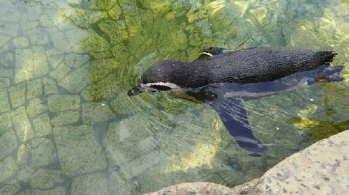 20180818_行船公園_09a.jpg