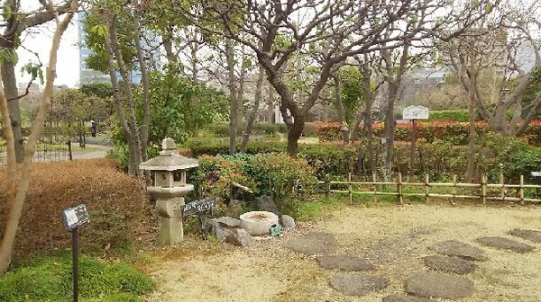 20190330_木場公園_02a02.jpg