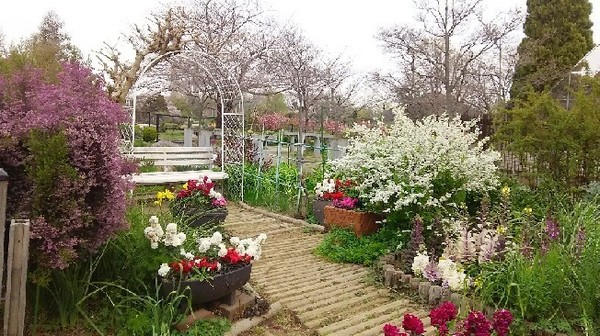 20190330_木場公園_03a03.jpg