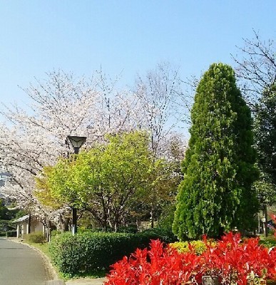 20190406_木場公園_03a01.jpg