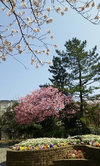 20190406_桜_01a09.jpg