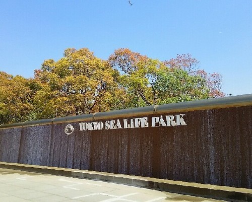 20190413_葛西臨海水族園_01a.jpg