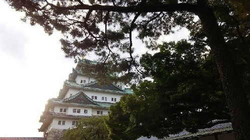 20190928_名古屋城_02a.jpg