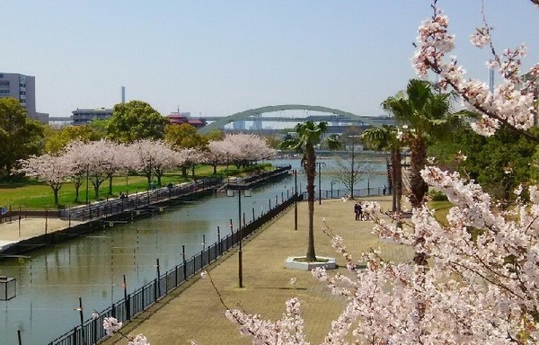 20200404_桜_06a.jpg