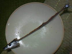 画像-0004.jpg