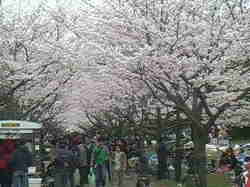 画像-0012.jpg