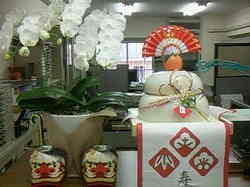 画像-0012.jpg