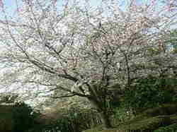 画像-0029.jpg