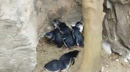 DSC_5871a.jpg