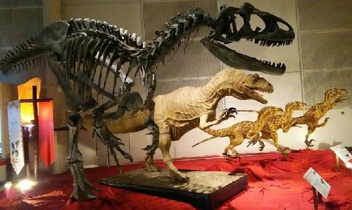 ギガ恐竜展2017_11a.jpg