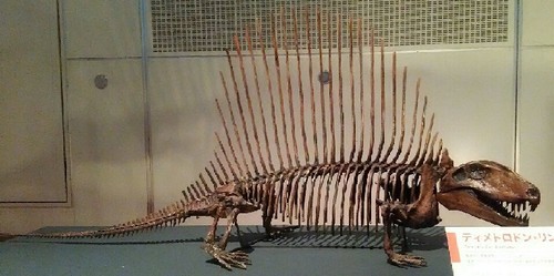 ギガ恐竜展2017_14a.jpg