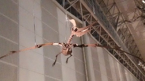 ギガ恐竜展2017_2a.jpg