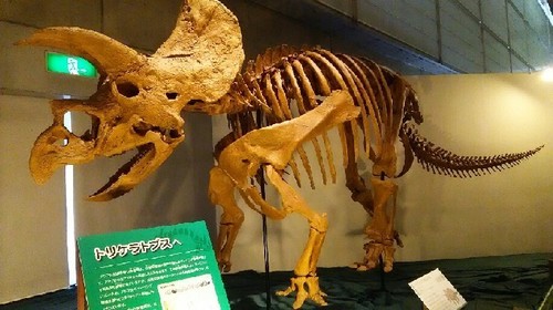 ギガ恐竜展2017_7a.jpg