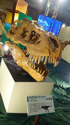 ギガ恐竜展2017_9a.jpg
