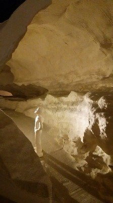 ラスコー2a.jpg