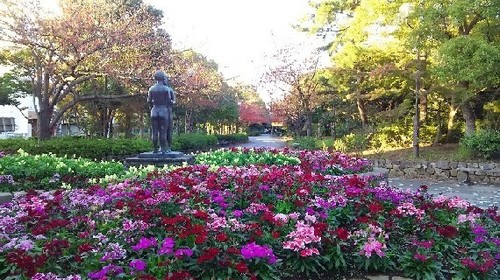 紅葉20161112_3a.jpg
