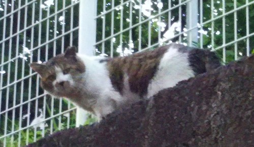IMG_20160513_094145.jpg