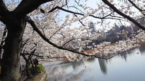 NEC_0384.jpg