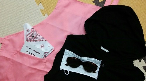 stylefree13_衣装・小道具a.jpg